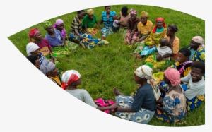 Why Foxglove - Foxgloves #4264650