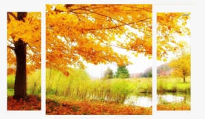 Autumnsplash Alt Banner - Autumnal Scene Desktop Background #4264679