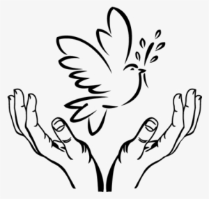 Paloma Santa - Catholic Social Teaching Png #4265085