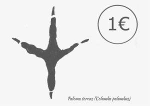 Posee Una Cabeza Pequeña Y Pico Naranja, Con Manchas - Flight #4265470