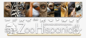 Slide Right - Gillian Anderson Yes Hottest Women 47x35 Huge Print #4265852