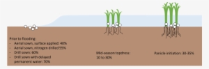 M#season Topdressing Has Lower Efficiency Than Other - Portable Network Graphics #4266050