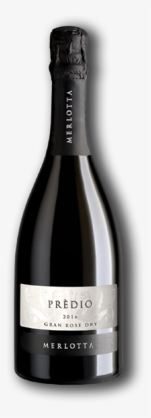 Pinot Nero 100% - Champagne #4266095