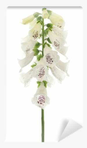 Artificial Flower #4266180