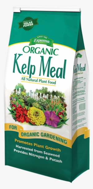 Kelp Meal - Tree Tone #4266278