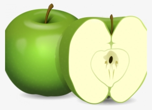 Drawing Of A Green Apple And A Cross Section Of The - Green Apple #4266393