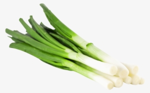 Product Group - Spring Onion #4266422