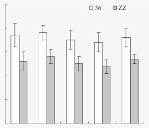 Mycorrhizal Colonization Rates Of Green Onion Under - Monochrome #4266449