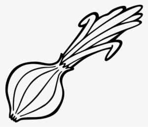 Cebolla Dibujo Png #4266784