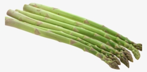 Asparagus Png Image1 - Asparagus Png #4266854