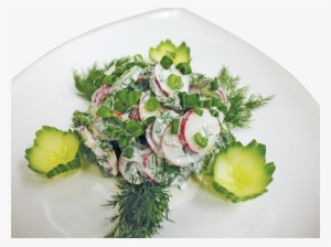 Fresh Red Radish Salad With Dill, Cucumbers, Green - Salad #4266882