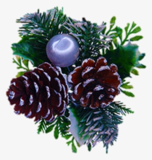 Pinecones - Christmas Tree #4266987