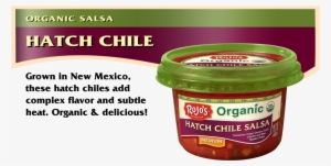 A Delicious Organic Salsa Made With Organic Tomatoes, - New Engine Design And Automotive Filtration #4267028