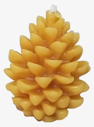 Small Pinecone - Conifer Cone #4267077