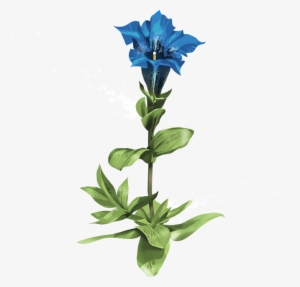 It Was Once Written Of This Famous Bitter Plant That - Herb #4268106