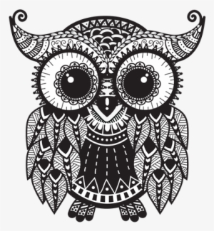Take A Journey Owl: Blank Lined Diary Journal Book #4268205