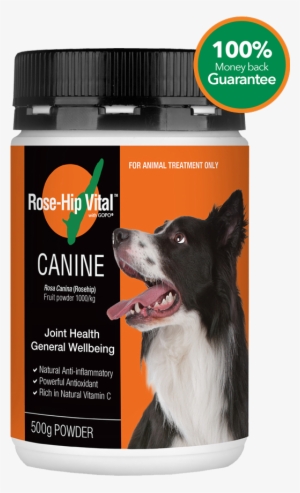 Improve Your Dog's Joint Health And Wellbeing - Rose Hip Vital #4268765