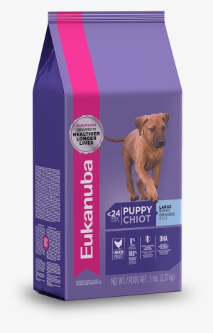 Puppy Eukanuba® Large Breed Puppy Food - Eukanuba Large Breed Premium Puppy Food 5 Lbs #4268849