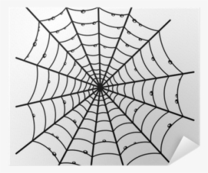 Darice 1219-215 Embossing Folder Spider Web Paper Craft #4269000