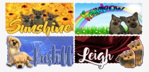 Pets Wanted - Tonkinese #4269034