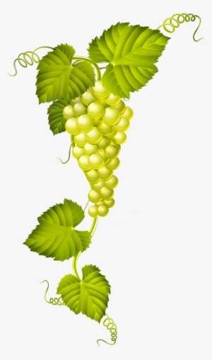 Find This Pin And More On Decoupas By Galvezdoa - Wine Vector #4270058