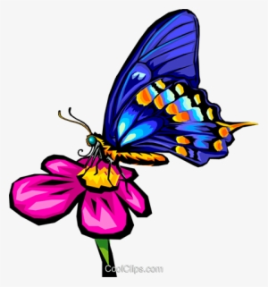 Mariposa Libres De Derechos Ilustraciones De Vectores - Butterfly On Flower Clip Art #4270651