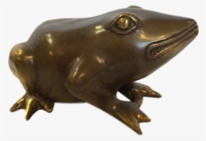 Toad - Eastern Spadefoot #4270934