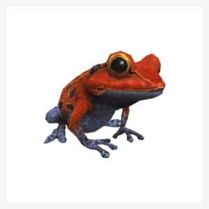 Toad 3 - Portable Network Graphics #4270991