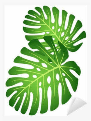 Adesivo Foglie Della Pianta Tropicale - Elephant Ear Plant Clip Art #4271081