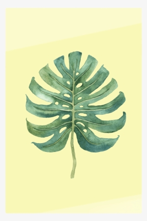 The Monstera Print - Illustration #4271551