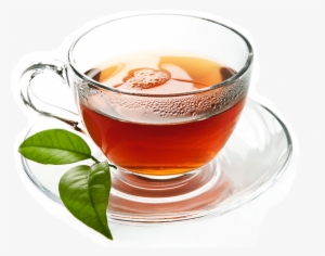 Catering De Té - Natural Stevia Powder Highly Concentrated Stevia Extract #4271651