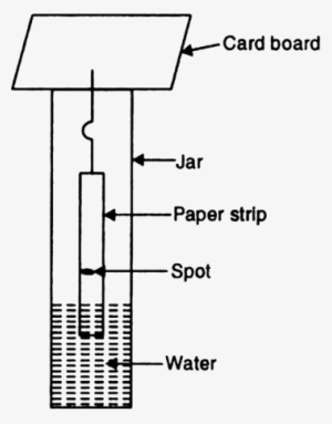 The Number Of Components In Ink Dye Is Equal To The - Central Board Of Secondary Education #4271784