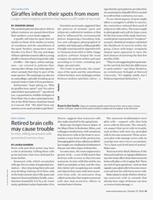 Goose Tower In Vordingborg, Zealand #4271880