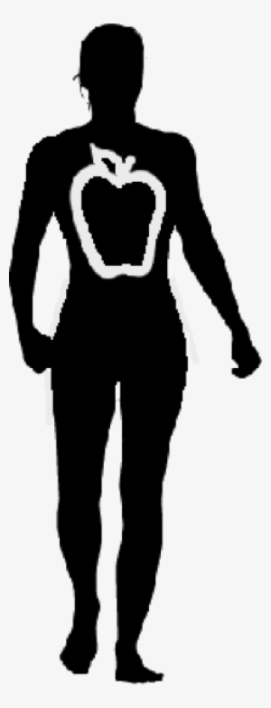 Apple Body Shape Treatments - Illustration #4272028