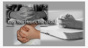 X - Importance Of Accuracy In The Study #4272362