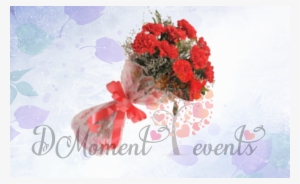 10 Red Carnation - Garden Roses #4272517