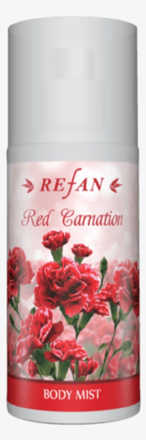 Red Carnation - Azalea #4272560