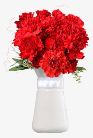 Features - Bouquet #4272636