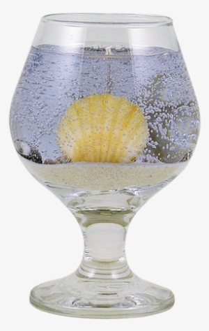 Brandy Glass Candle With Shells - Gulf Breeze #4272711