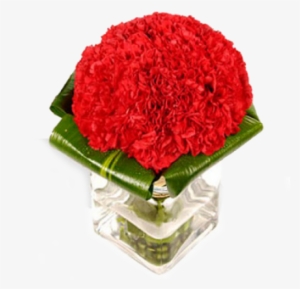 Red Carnations #4272781