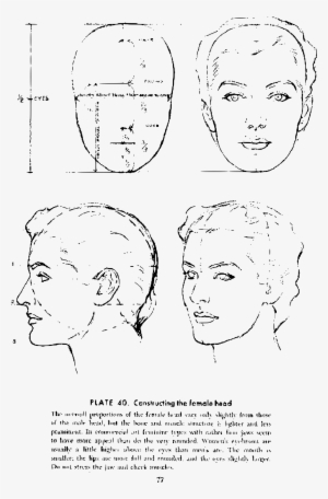 This Free Icons Png Design Of Andrew Loomis Drawing #4273301