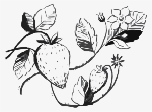 Arugula Salad With Strawberries - Salad #4274257