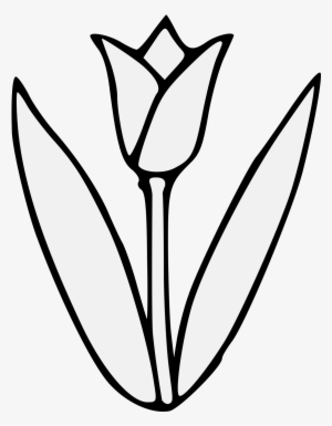 Tulip Flower Free Png Transparent Images Free Download - Tulip's Leaves Clipart Black And White #4274420