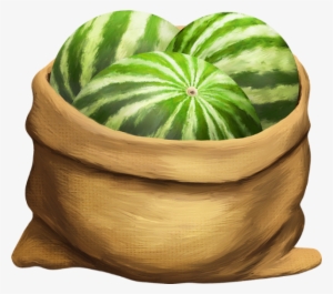 Watermelon #4274486