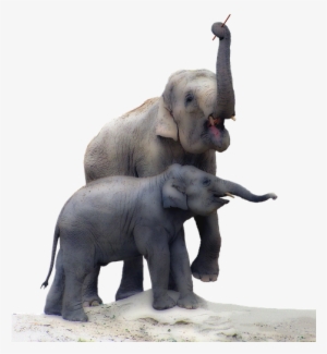 Free Photo Isolated Trunk Elephant Illustration Baby - Elephant With Baby Transparent #4274653