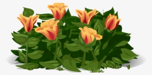 Tulips, Flowers, Plants - Gelukkige Lentedag #4274654