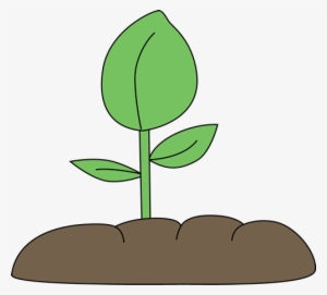 Plant In Soil Clip Art Clipart Free Download - Plant In Soil Clip Art #4275127