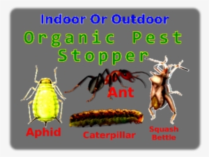 Liqui Dirt Complete Nutrition A Full Vitamin And Mineral, - Pest #4275378