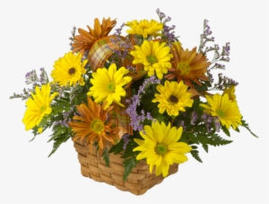 Autumn Daisies - Royer's Flowers & Gifts #4276133