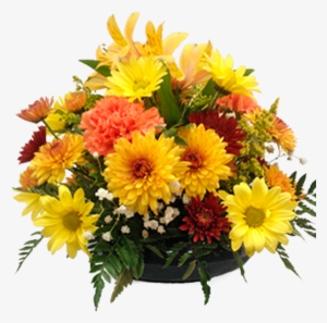 All Around Autumn - Flower #4276221